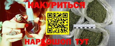 крисы Донской
