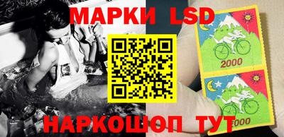 крисы Донской