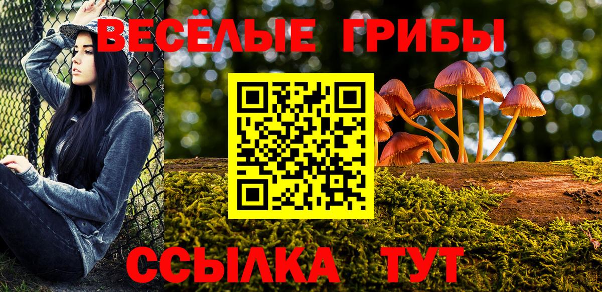 Галлюциногенные грибы мицелий  Вход с VPN  Менделеевск 